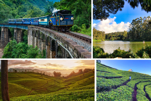 Sunrise view over coffee estates and rolling hills in Chikmagalur, a top 2 day road trip destination from Bangalore.