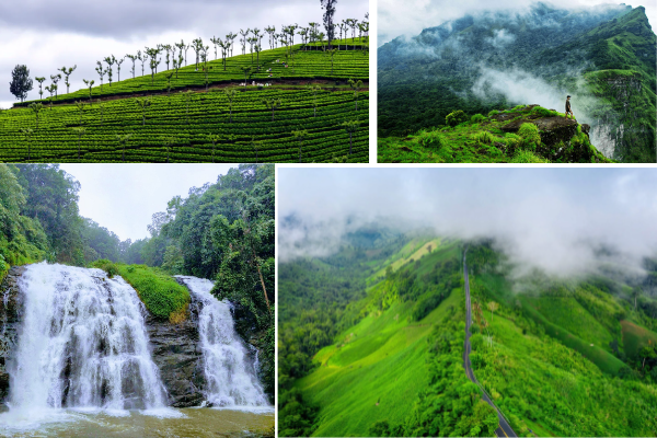 Coffee plantations and foggy hill roads in Coorg showcasing a peaceful weekend getaway from Bangalore by car.