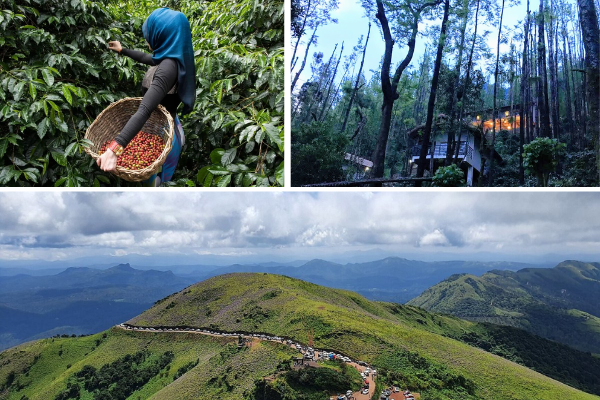 Curvy mountain roads and tea gardens in Ooty captured during a beautiful South India road trip adventure.